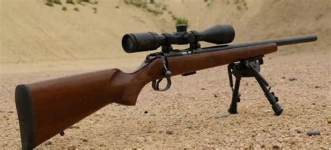 Best Scope for .17 HMR Rifles – 2024 Updated Review | Scopes Reviews