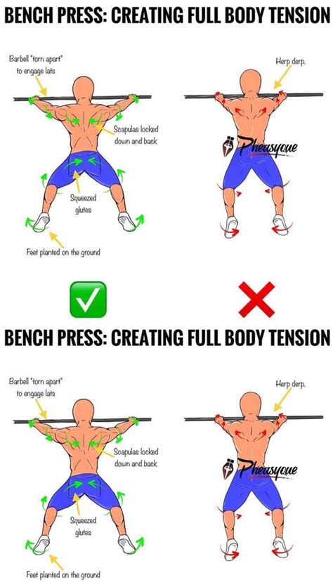 Bench Press Bar Path Form check - weighteasyloss.com - Fitness ...