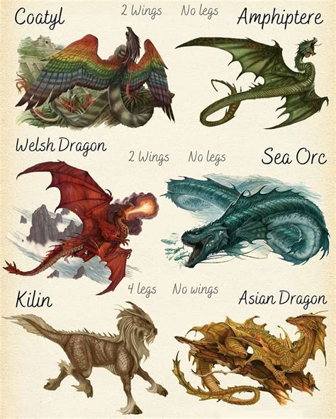 Dragons & Monsters on Instagram: “🐲What's your favorite species? 🐲 ...