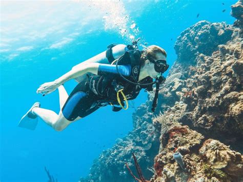 Ultimate Guide to Cozumel Scuba Diving Packages