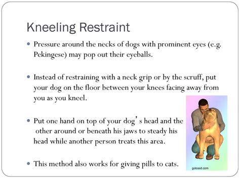 Pet Restraint Techniques and Pain Management - ppt download