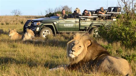 6 Tips to Enjoy Your Safari Adventure in South Africa – Your Travel Gal