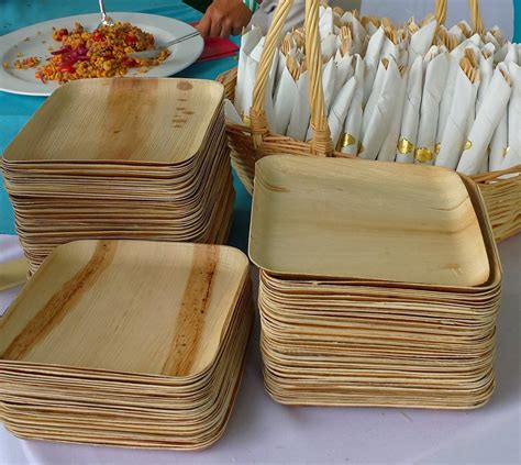 Bamboo Style Palm Leaf Disposable Eco-friendly Square Plate 10 Plates ...