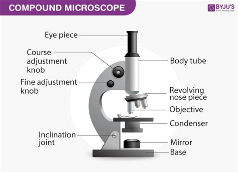 When Would You Use A Compound Light Microscope | Americanwarmoms.org