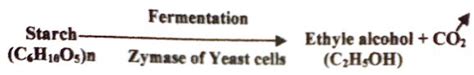 Define Zymase with Functions - QS Study