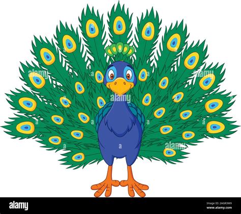 Cartoon beautiful peacock Stock Vector Image & Art - Alamy