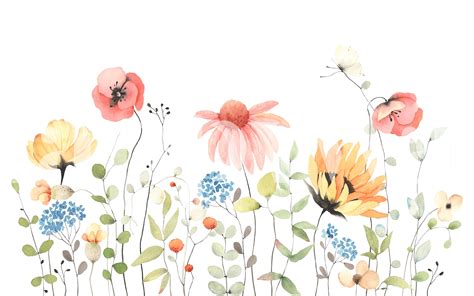 Summer Wildflowers Wallpaper - Bring Joyful Nature into Your Home