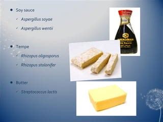 Conventional and modern biotechnology | PPT