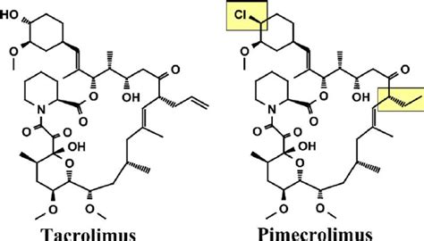 Chemical structure of pimecrolimus and tacrolimus. Differences are ...