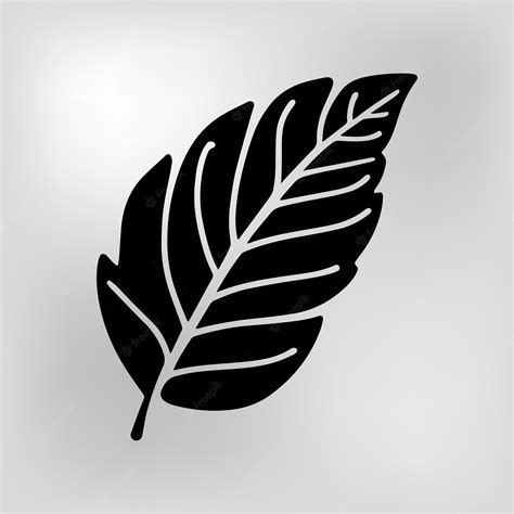 Premium Vector | Leaf silhouette vector black and white