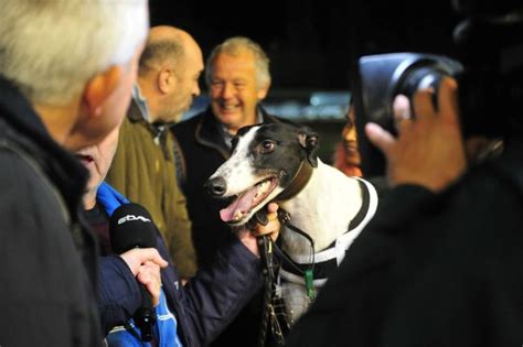 The Fundamentals of Greyhound Training - Oxford Stadium