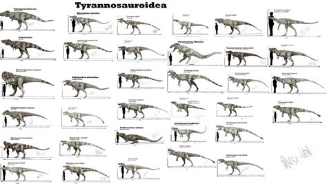 Tyrannosauroidea | Prehistoric animals, Prehistoric creatures, Prehistory