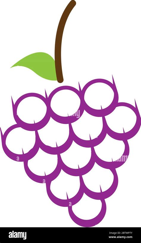 Grape fruit graphic design template vector isolated Stock Vector Image ...