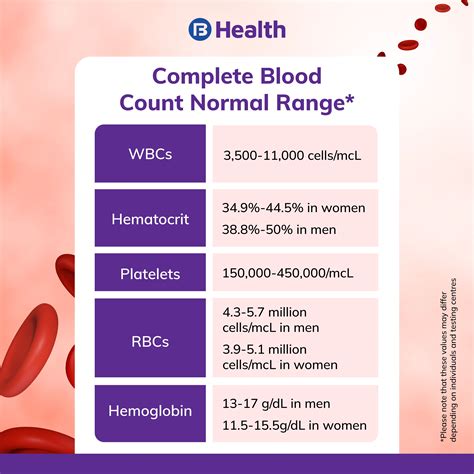 Complete Blood Count (CBC) Test: Normal Ranges, Procedure