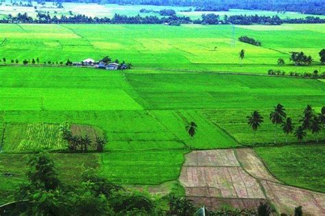 The Greens of Lanao del Norte- Kapatagan, Lanao Del Norte. Photo by ...