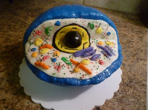 Crazy About Cakes: An Edible Animal Cell Model