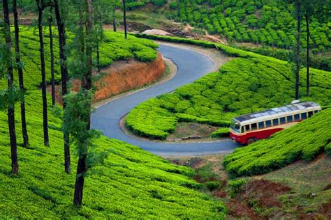 Places to See in Munnar - Kerala Tourism Mart