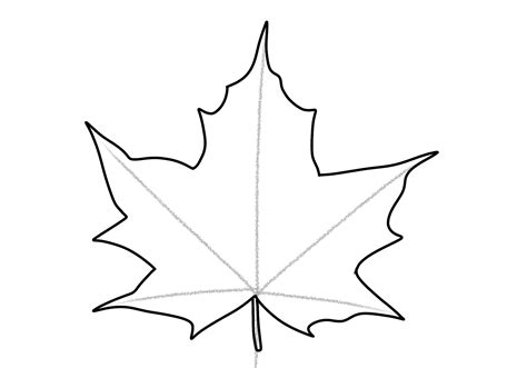 Maple Leaf Drawing Template