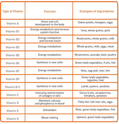 Types of Nutrients