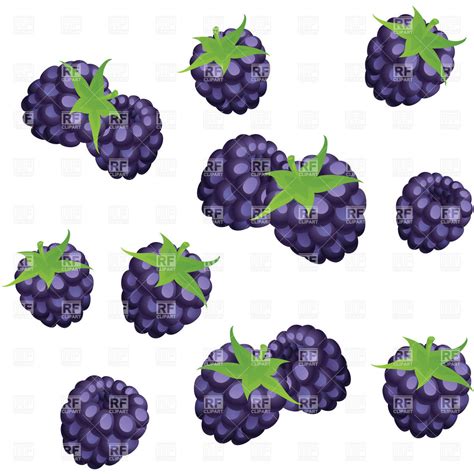 Black berries clipart - Clipground