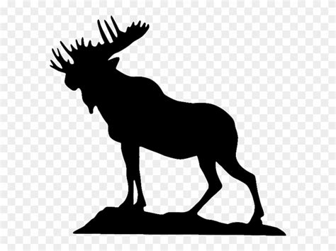 moose lodge logo 10 free Cliparts | Download images on Clipground 2024