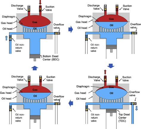 e Structure and working cycle of diaphragm compressor. | Download ...