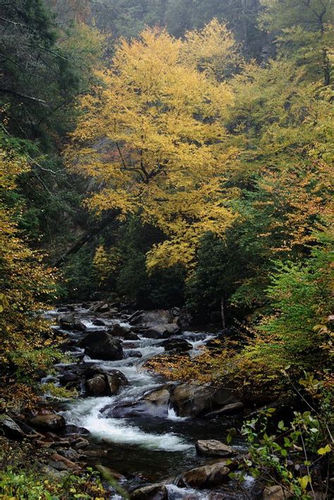 Fall in the Great Smoky Mountain National Park | Great smoky mountains ...