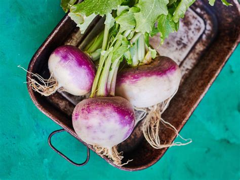 Turnip Benefits, Tips, and Recipes