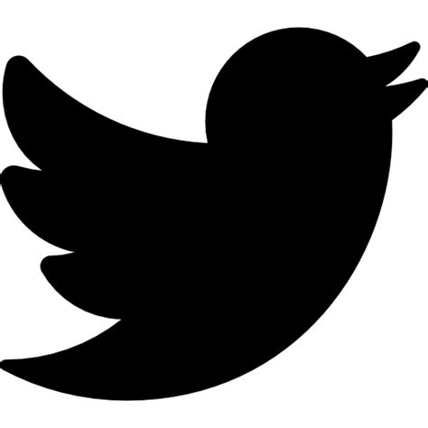 Big Twitter Logo icon