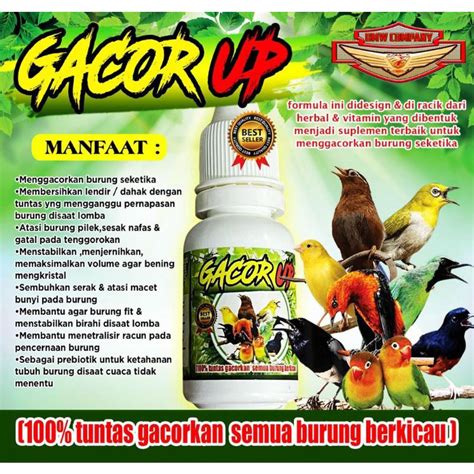 Jual VITAMIN BURUNG GACOR UP/RAHASIA PENGGACOR SEKETIKA | Shopee Indonesia