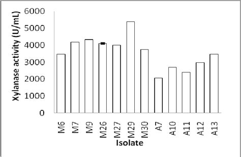 Xylanase activity of 12 selected isolate after 48 h cultivation in ...