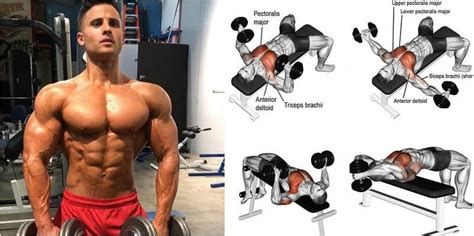 Simple Target Chest Workout for Push Pull Legs | Fitness and Workout ...