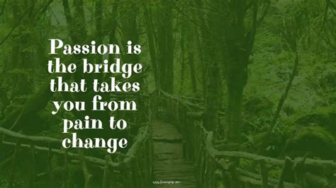 Top 100 + Bridge Quotes to Help inspire You to Know Your Life Journey