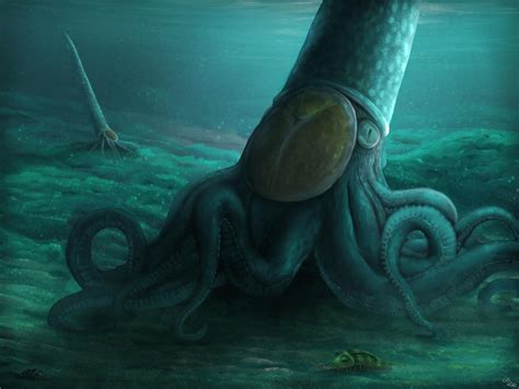 Endoceras giganteum was a species of giant Nautiloid cephalopod that ...