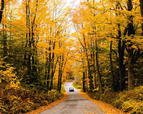 Ultimate Connecticut Fall Foliage Road Trip Guide