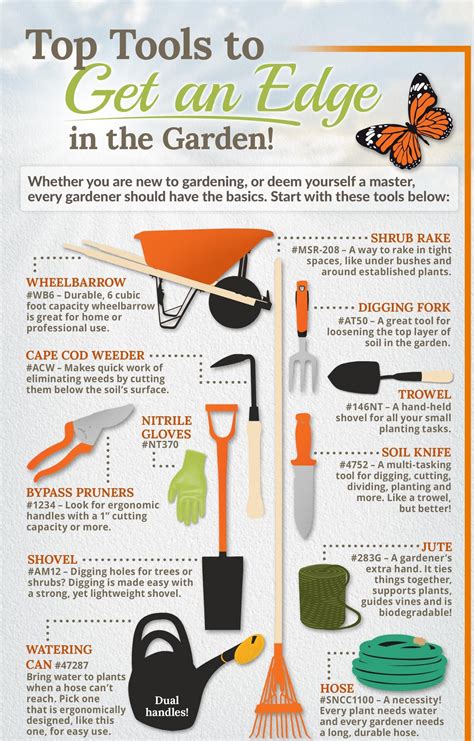 What Gardening Tools are Essential? – VINES