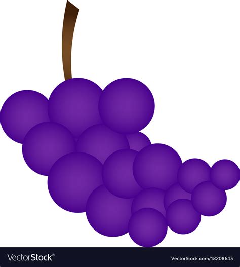 Isolated grapes Royalty Free Vector Image - VectorStock