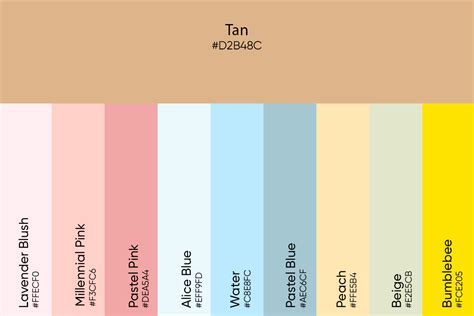 Tan Color Palette