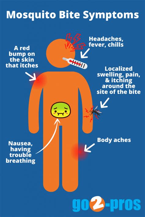 How To Stop Mosquito Bites From Itching - go2-pros