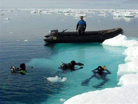 Try Something Different - Scuba Dive Antarctica - For Scuba Divers