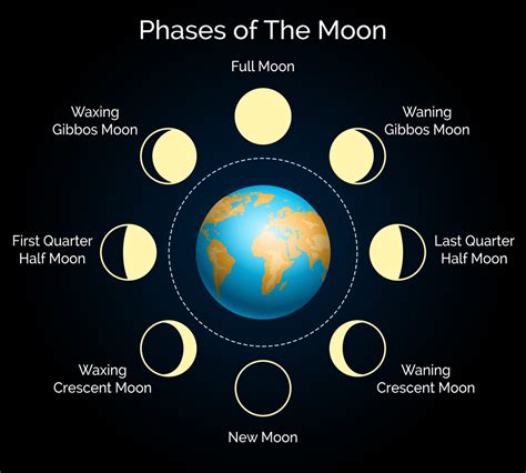 Phases Of The Moon Lunar Cycle Diagram Shapes Pictures And Names ...