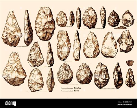 Acheulean Hand-Axes, Lower Paleolithic Stock Photo - Alamy