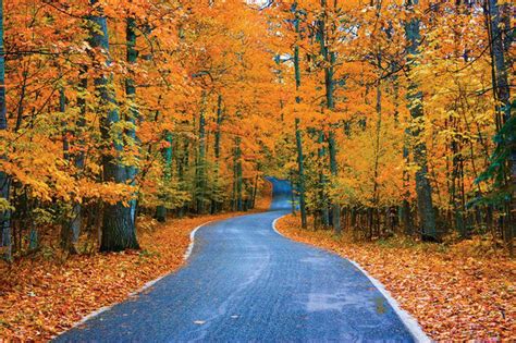 12 of Michigan’s most dazzling fall color drives - mlive.com