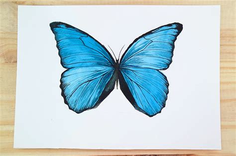 Simple Paintings Of Butterflies