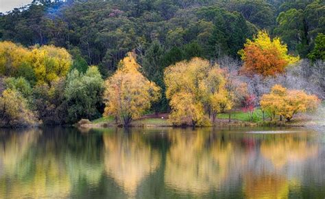 Mt Lofty Botanic Gardens by robst | ePHOTOzine