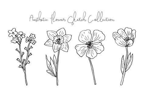 Aesthetic Spring and Summer Flower Sketch Collection 23330360 Vector ...