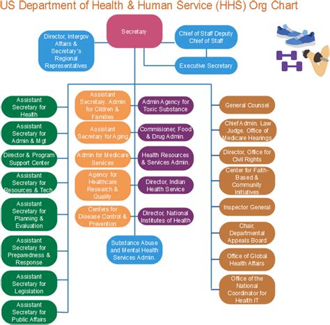 California Department Of Health Care Services Organizational Chart ...