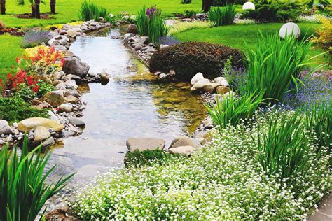 How to Build a DIY Water Garden in Your Yard