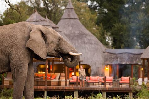 The Top 10 South African Safari Lodges | Discover Africa Safaris