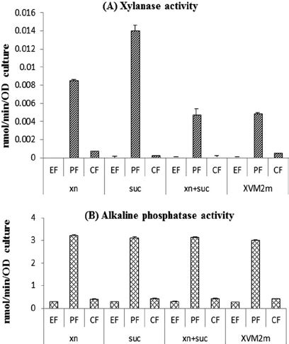 Xylanase activities in subcellular fractions. Xylanase activities were ...